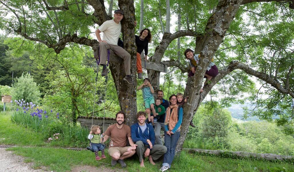 Les habitants de Grain&Sens dans un arbre